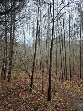 Suffolk, VA Acreage Available