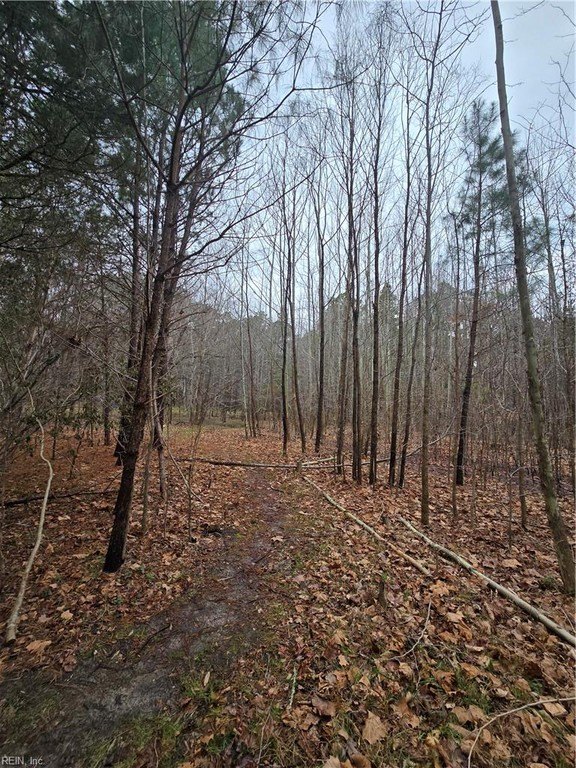 Picture 6