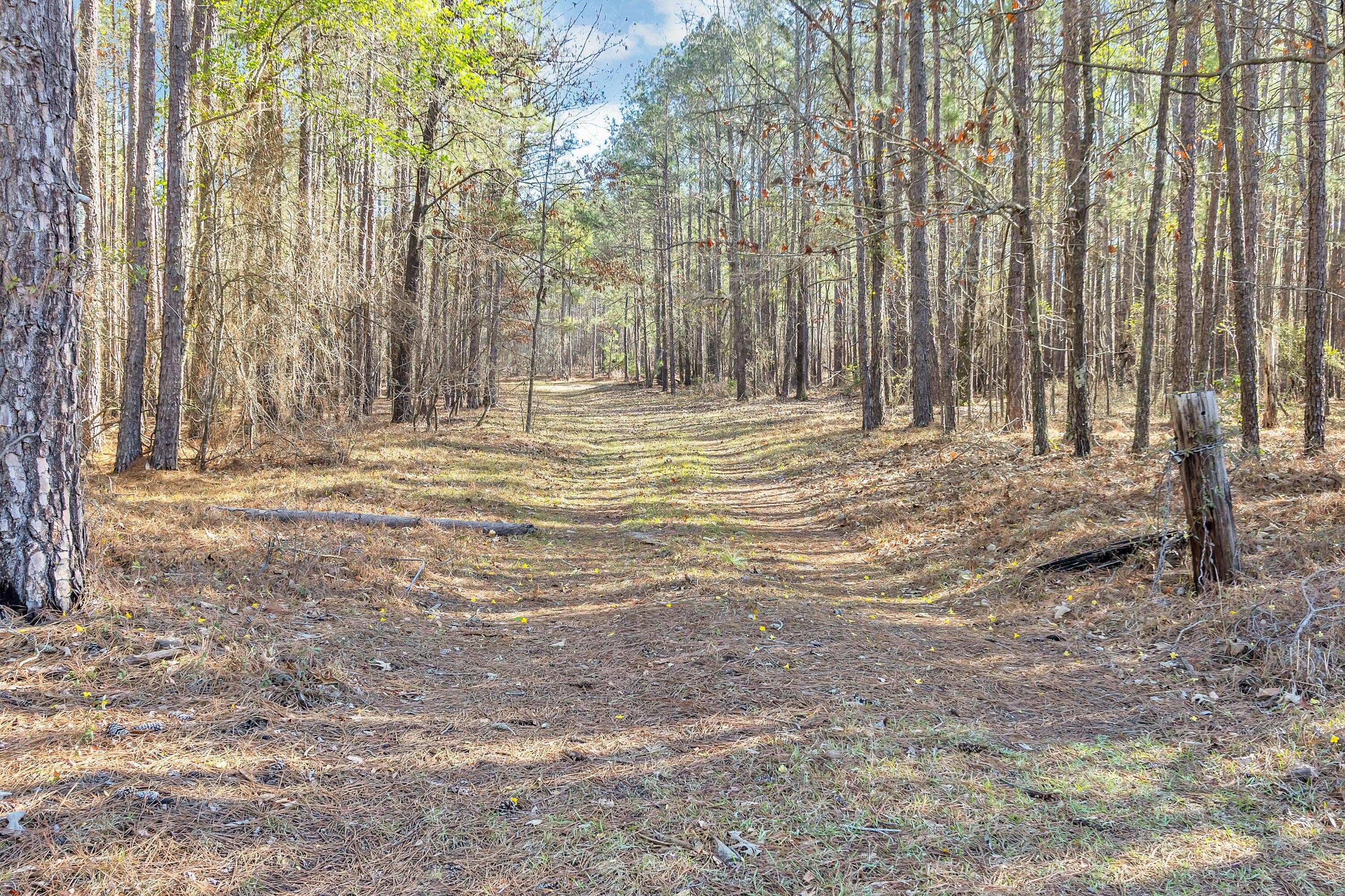 Aiken Land on Banks Mill