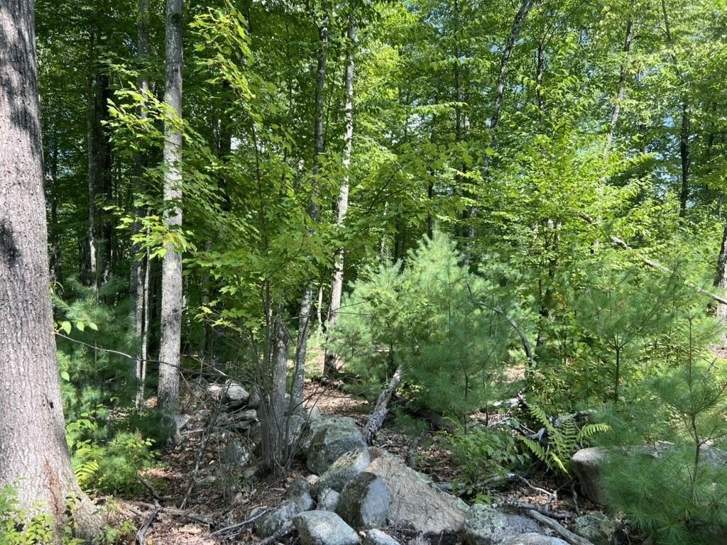 Picture 4
