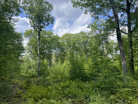Land, Lyman, ME