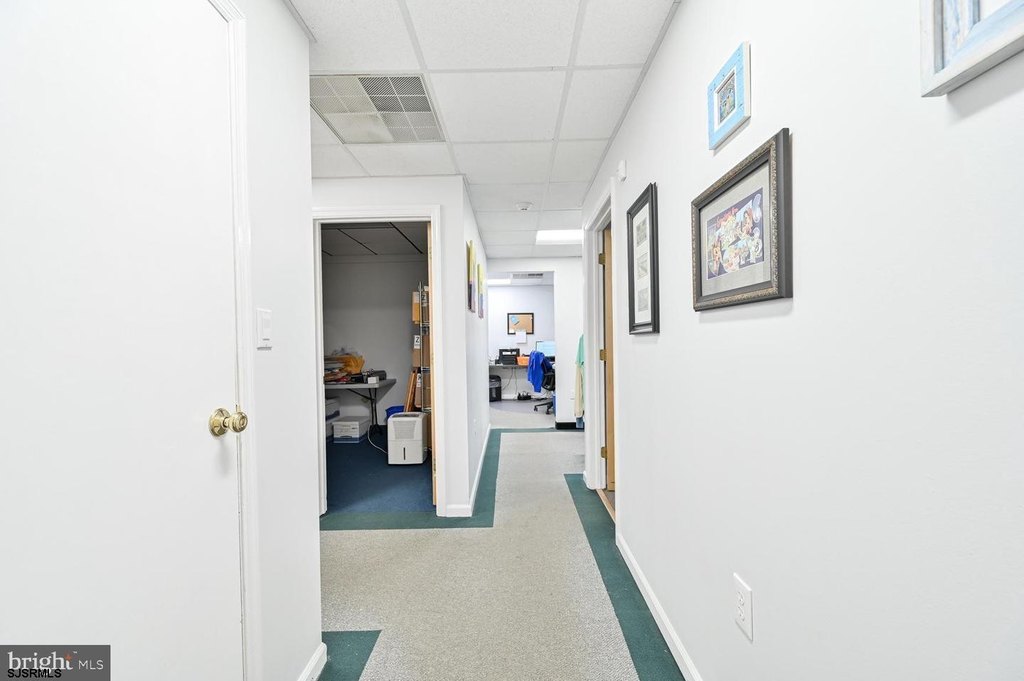 Picture 7