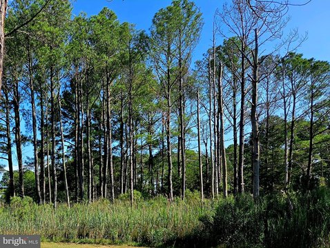 Land in Crisfield, Maryland
