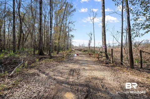 Tensaw River Recreation Land