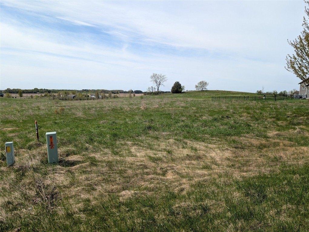 Picture 4
