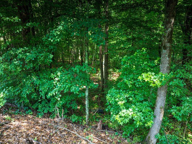 Picture 34