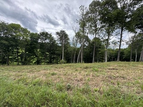 Land, Allons, TN