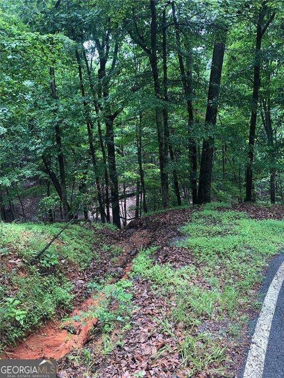 Jasper, GA Buildable Lot