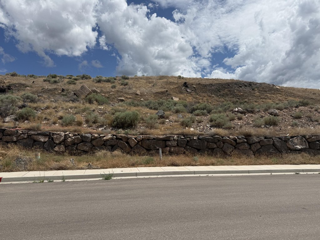 Picture 16