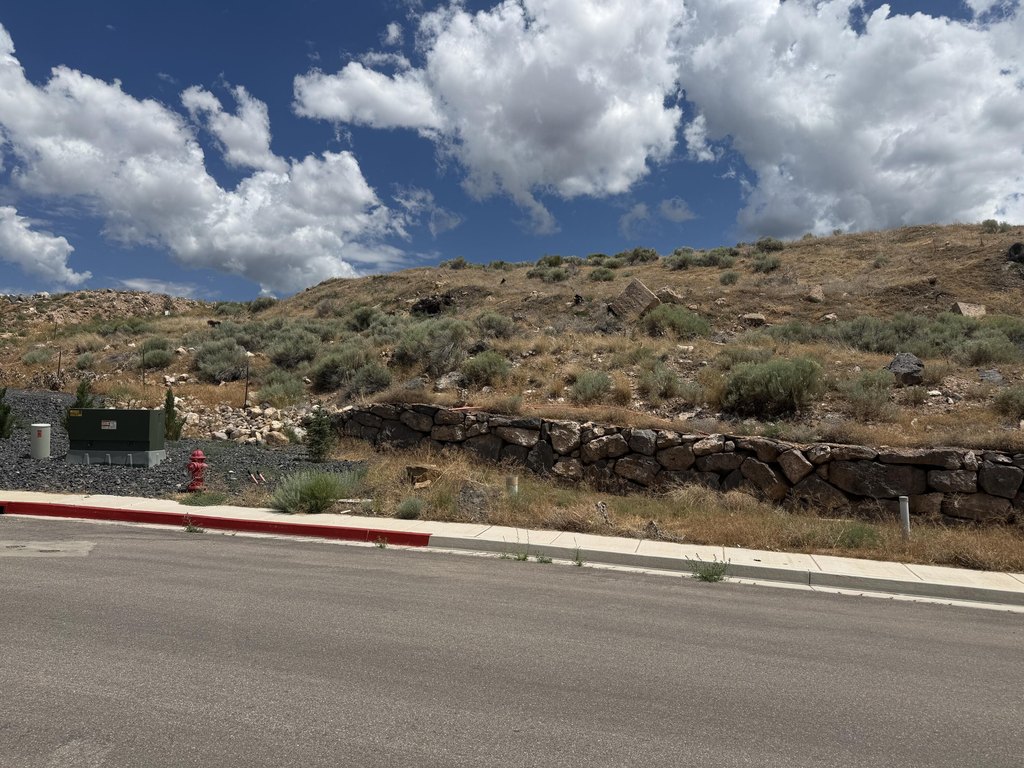 Picture 17