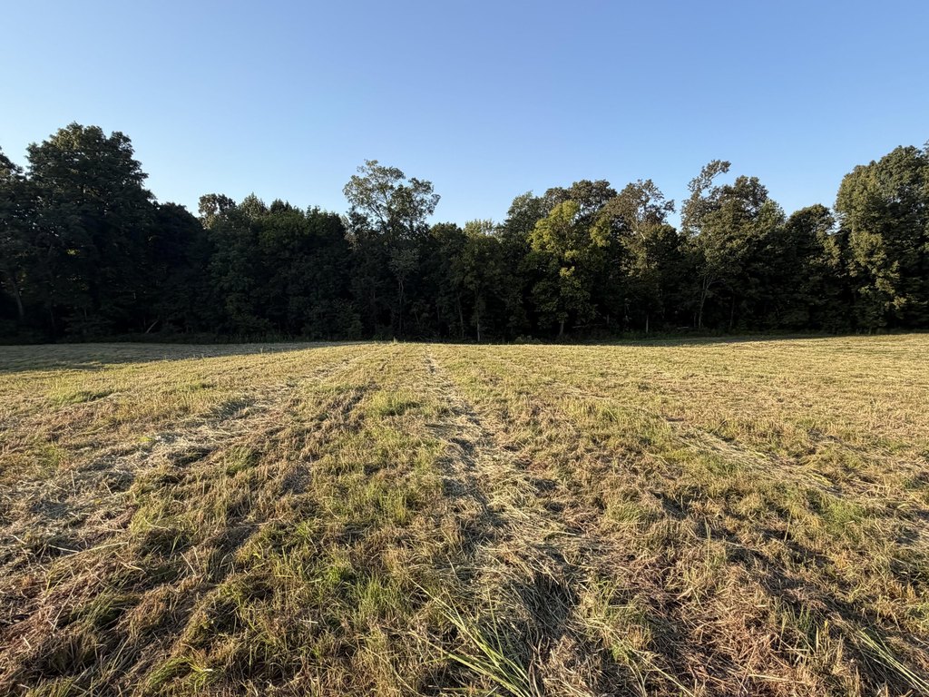 Picture 21