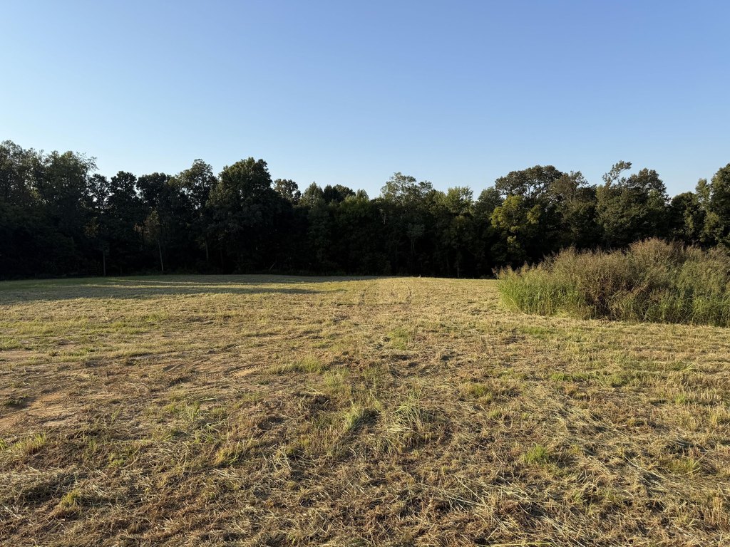 Picture 23