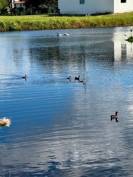 Punta Gorda Land with Exposure