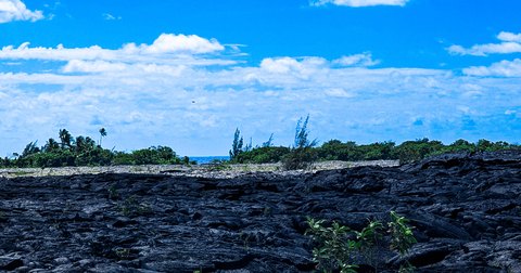 Land, Pahoa, HI