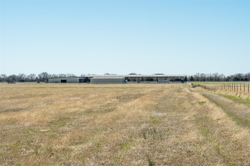 Picture 23