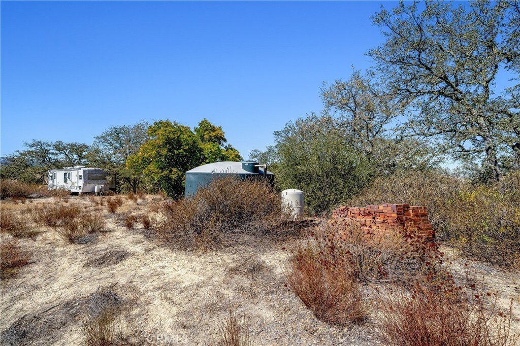 Picture 12