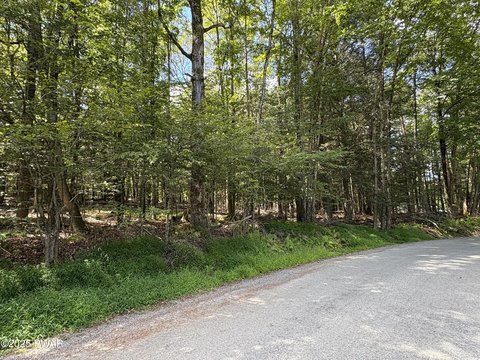 Land Near Lake Wallenpaupack
