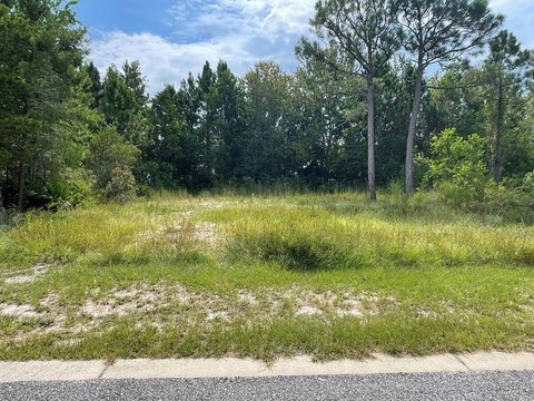Carrabelle Land Ready to Build