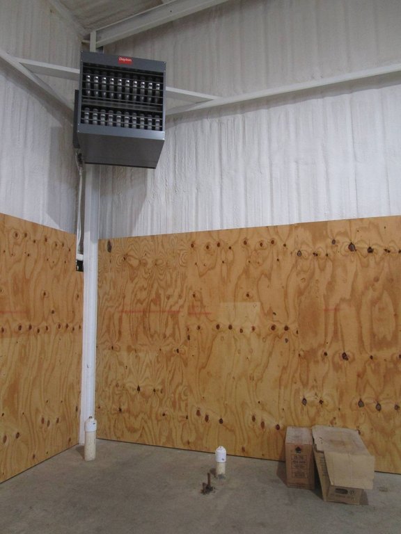 Picture 9
