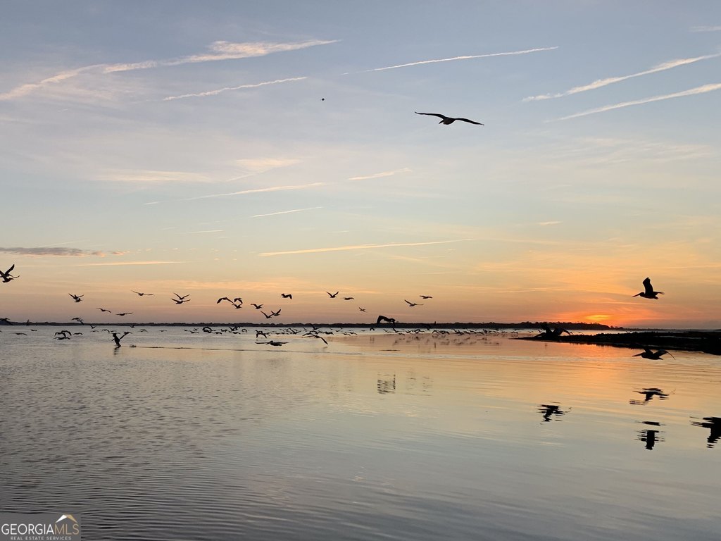 Picture 10