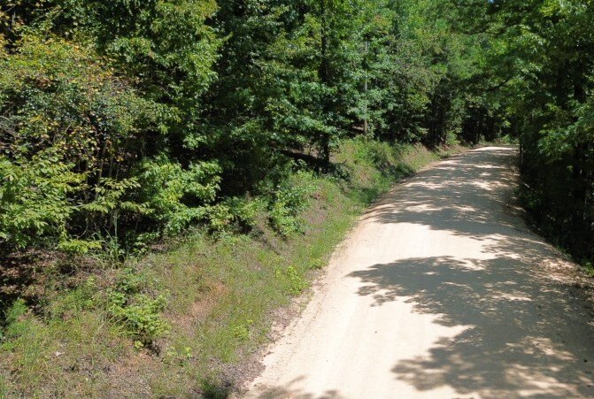 Picture 3