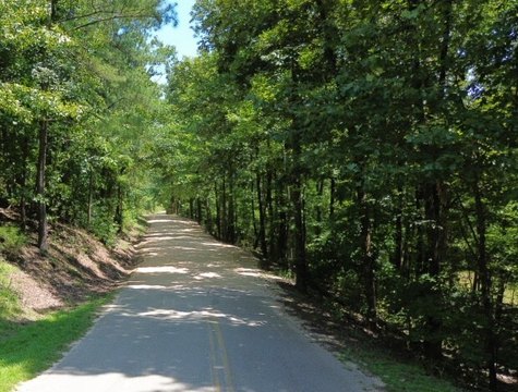 Secluded Ridge-Top Land in Alabaster