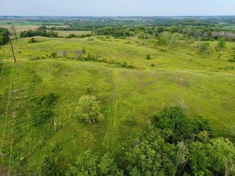 Land, Pine Island, MN