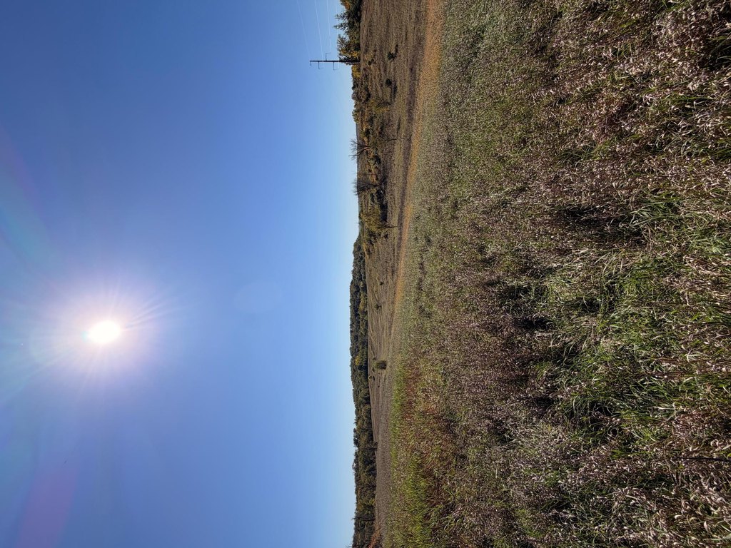 Picture 45
