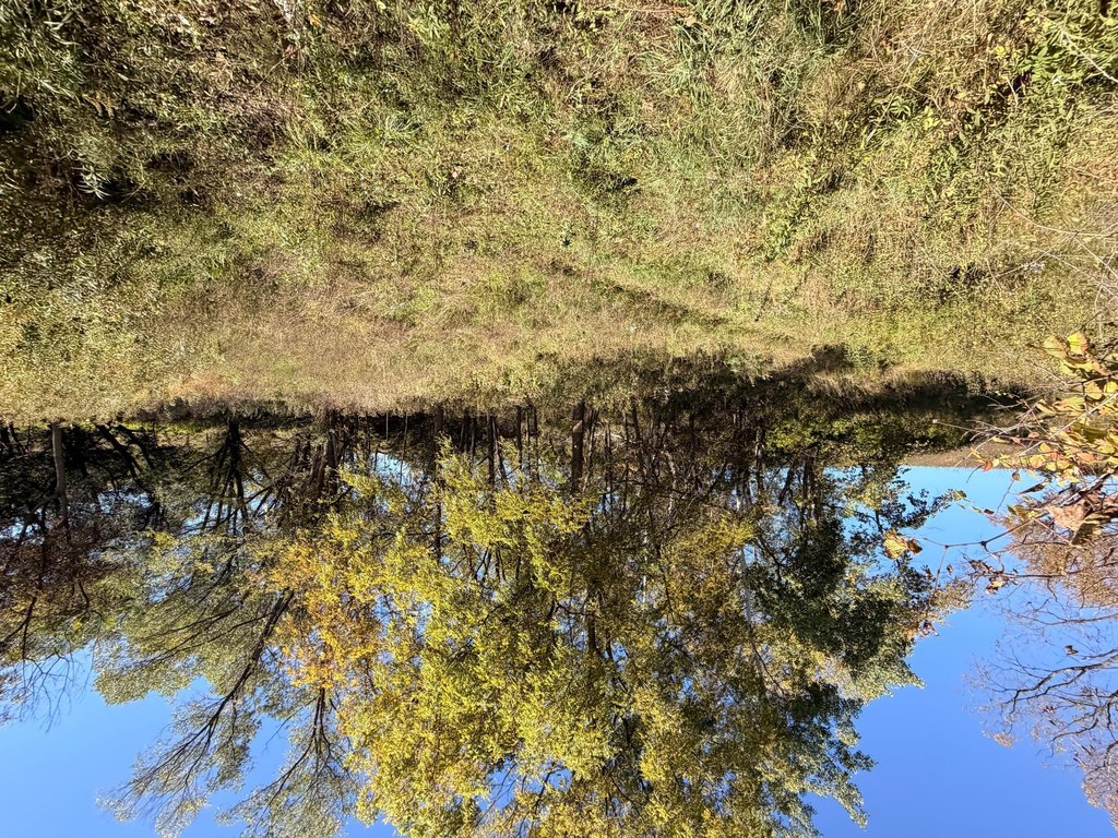 Picture 43