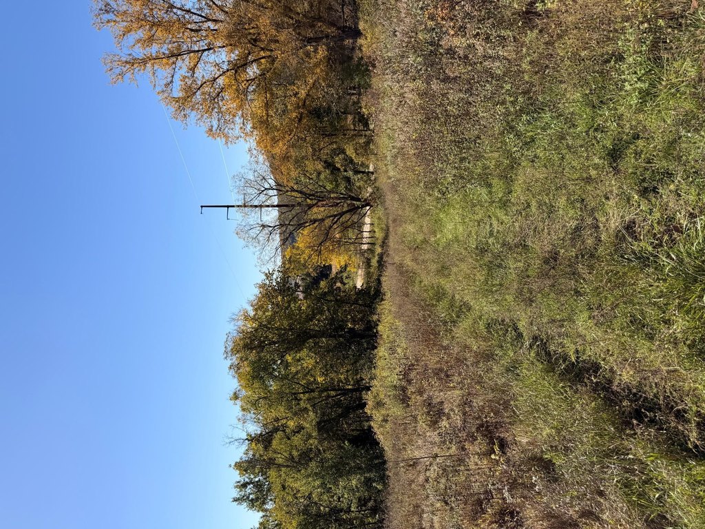 Picture 38