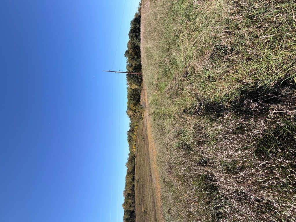 Picture 47