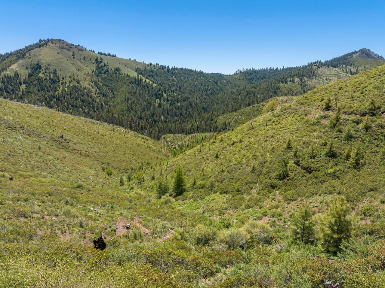640 Acres Recreational Land For Sale
