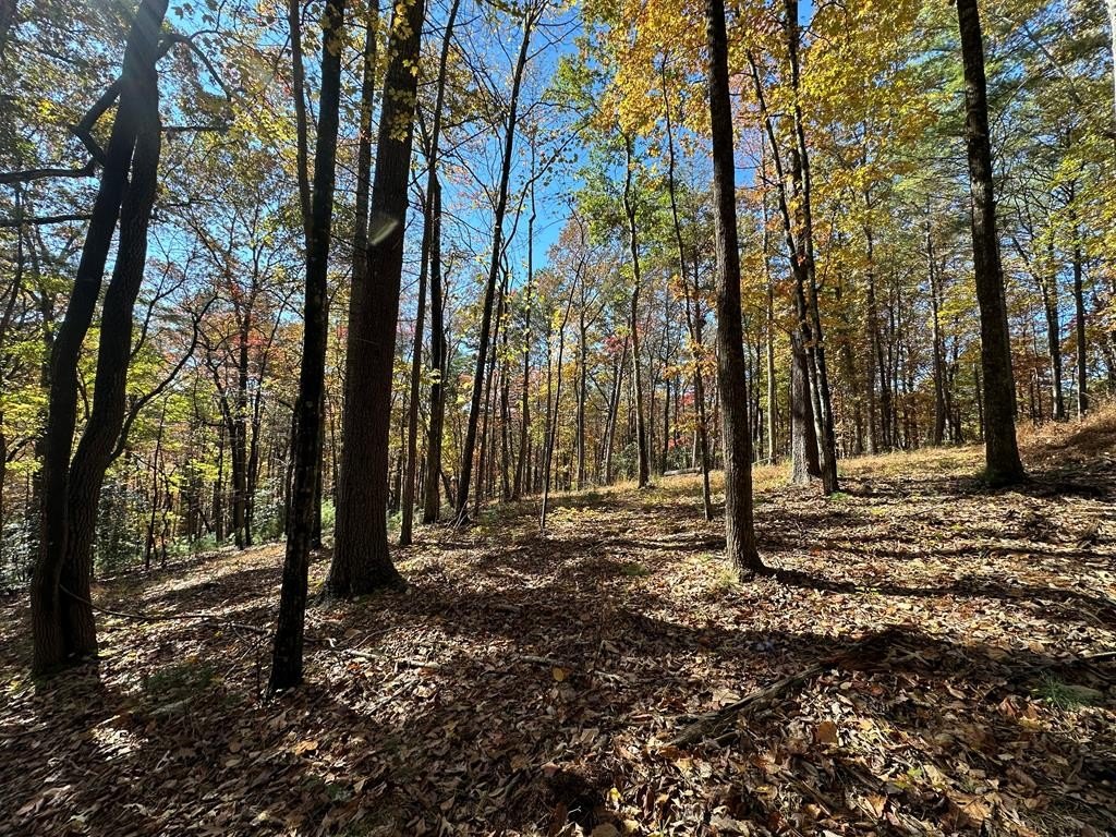 Unrestricted Land Near Appalachian Trail