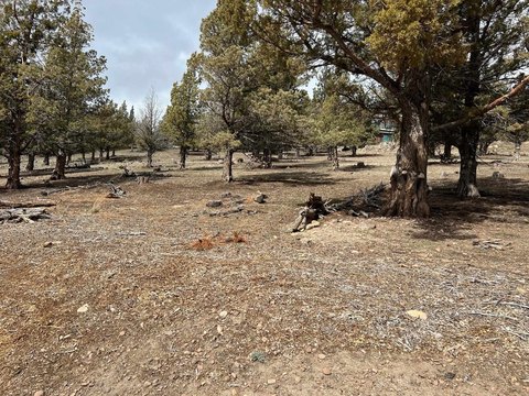 Land with Utilities in Weed