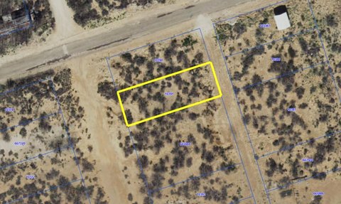 Commercial Lot in Pyote, TX