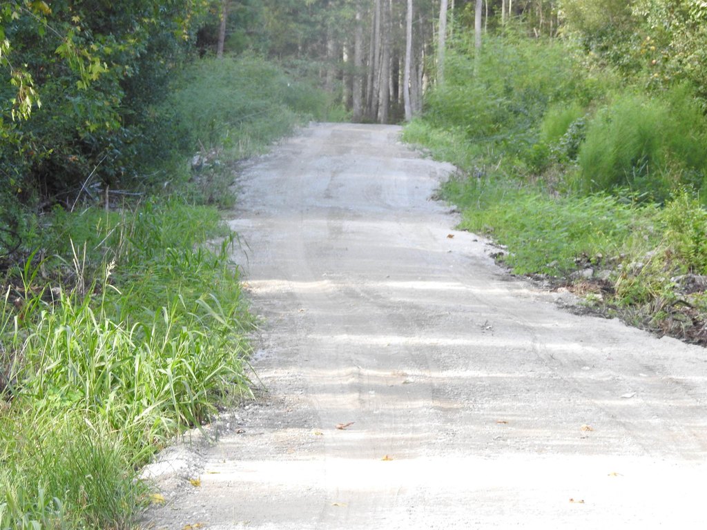 Picture 22