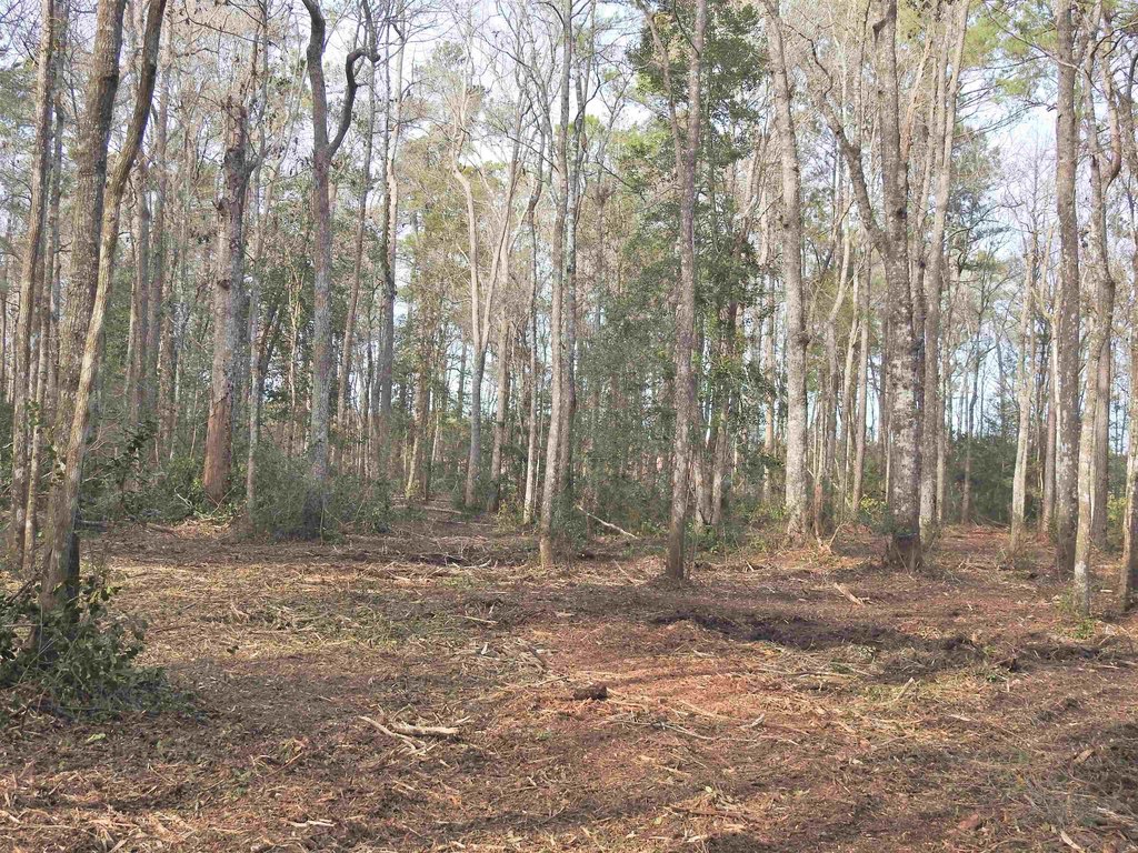 Picture 16