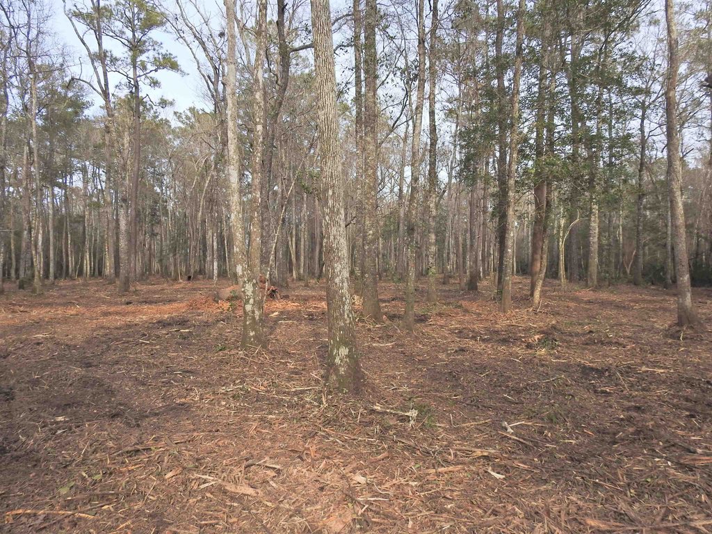 Picture 5