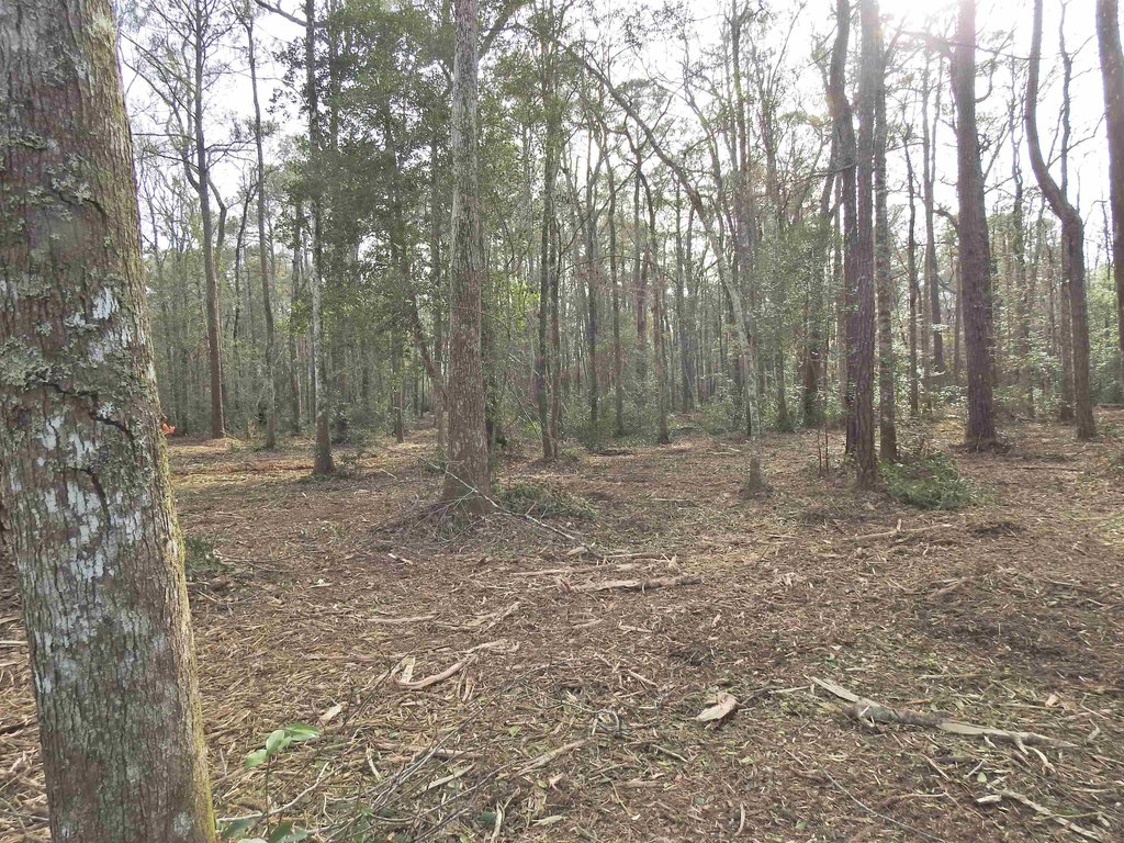 Picture 12