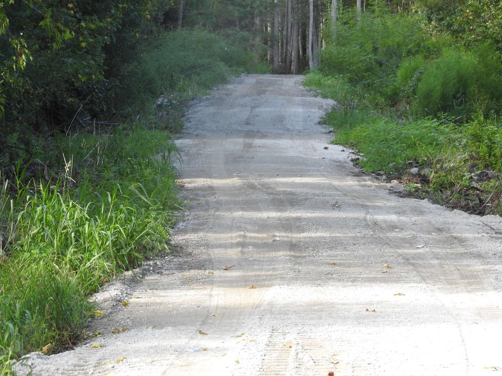 Picture 21
