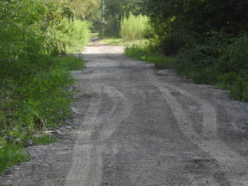 Picture 20
