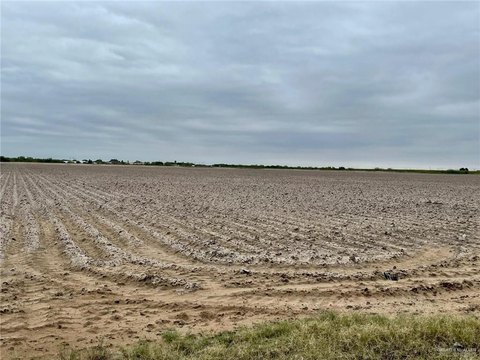Mercedes, TX Farmland For Sale