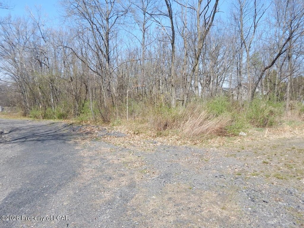 Picture 10