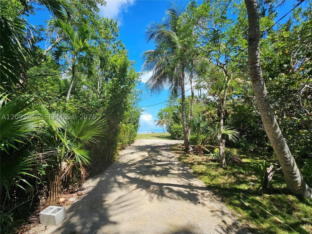 Picture 10