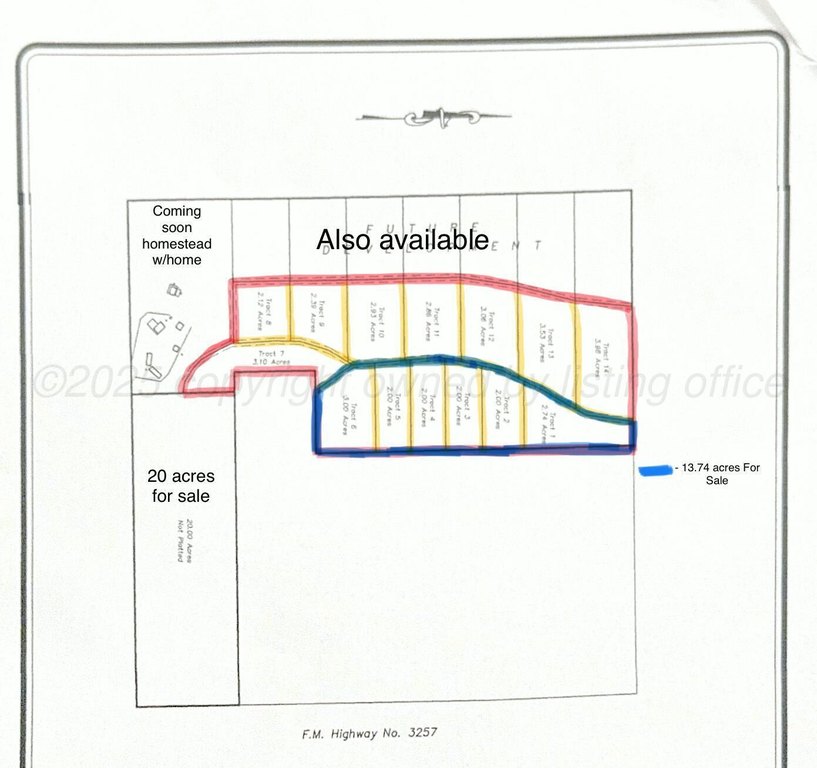 Picture 2