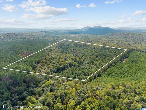 LAND/LOTS, PELL CITY, AL