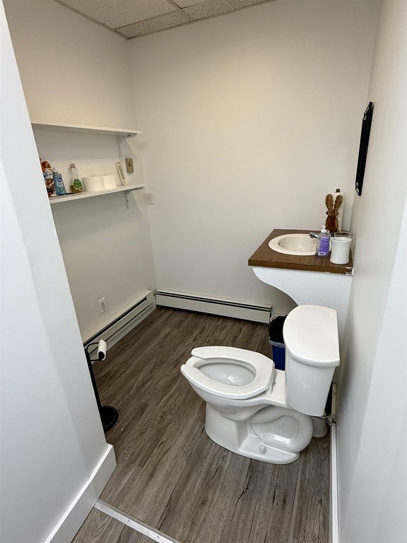 Picture 6
