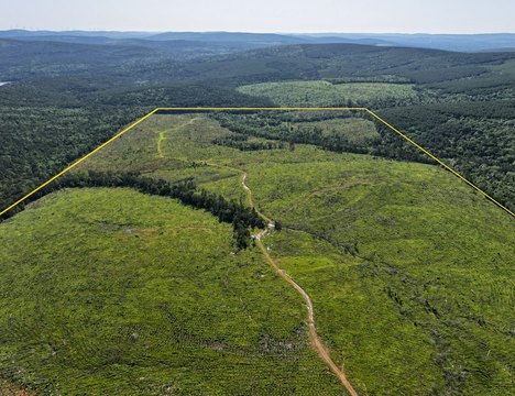 Recreational Timber Investment Land