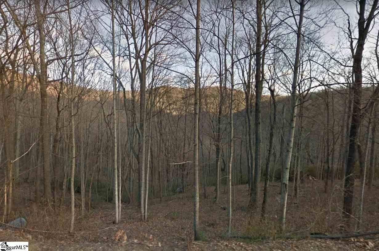 Landrum, SC Homesite with Views
