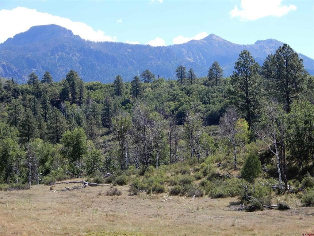 Picture 21
